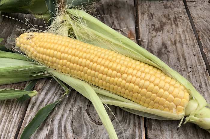 Sweetcorn freshly freed from its pod