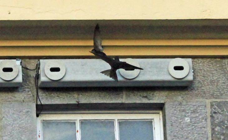 A swift box at ATU Mayo campus
