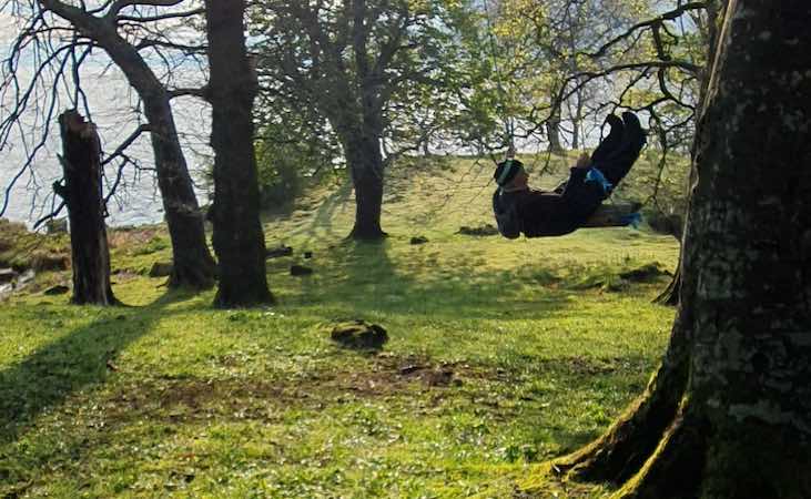 Swings on Beezie's island