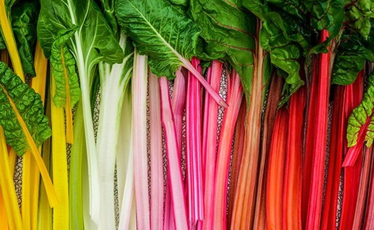Five colour silverbeet chard Five colour silverbeet chard