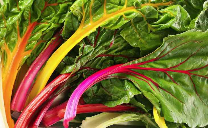 Muticoloured chard stems