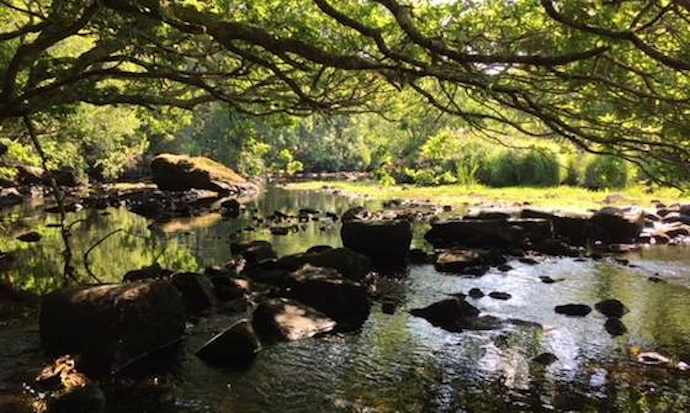 Shady river bed photo