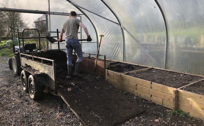 Adding  a layer of manure for nutrients in the polytunnel beds