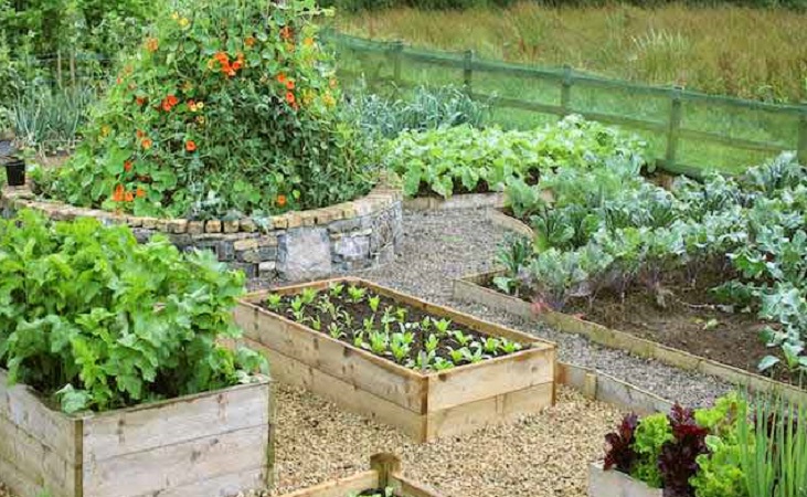 an aesthetically pleasing garden layout