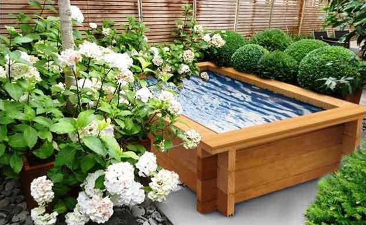 timber raised pond with surrounding foliage timber raised pond with surrounding foliage