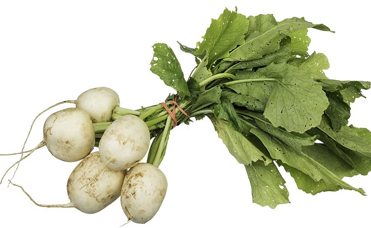 'Tokyo Cross' turnips