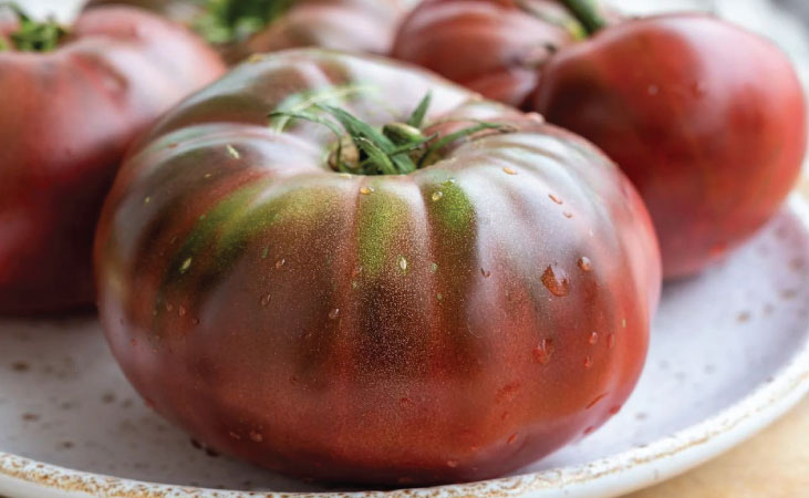 Noire de Crimee beefsteak tomatoes