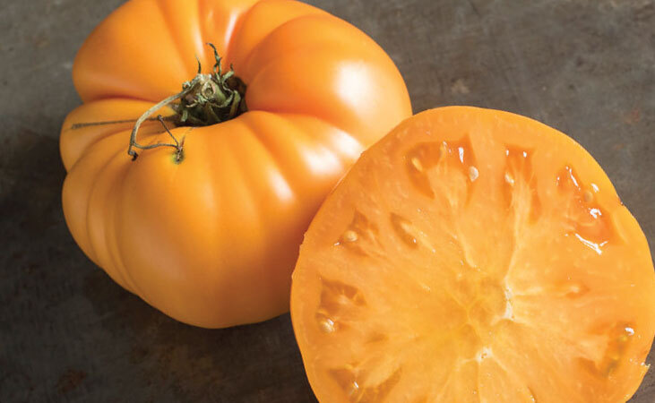 Brandywine yellow tomato
