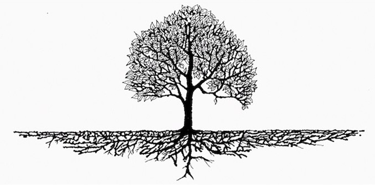 Tree with roots - illustration