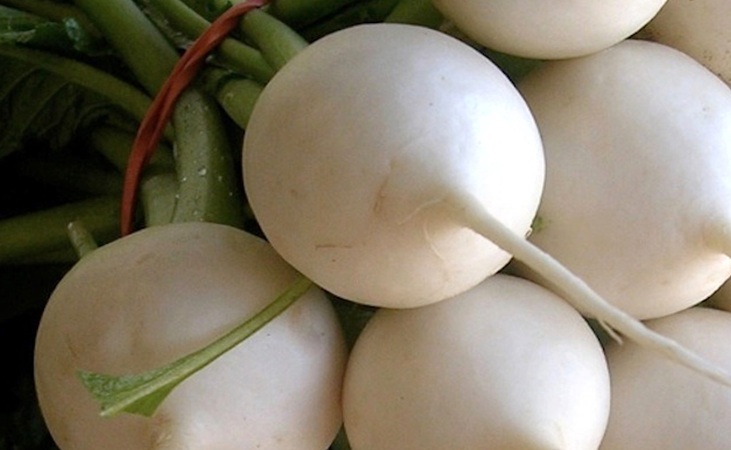Turnip 'tokyo cross' Turnip 'tokyo cross'