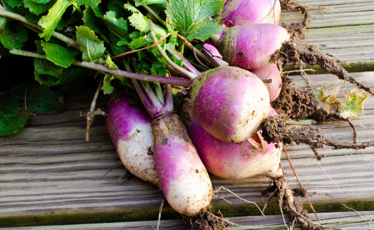 Turnips