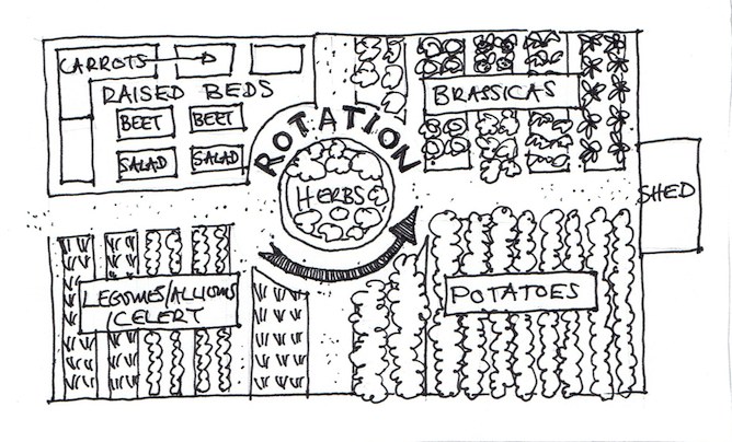 vegetable garden rotation plan