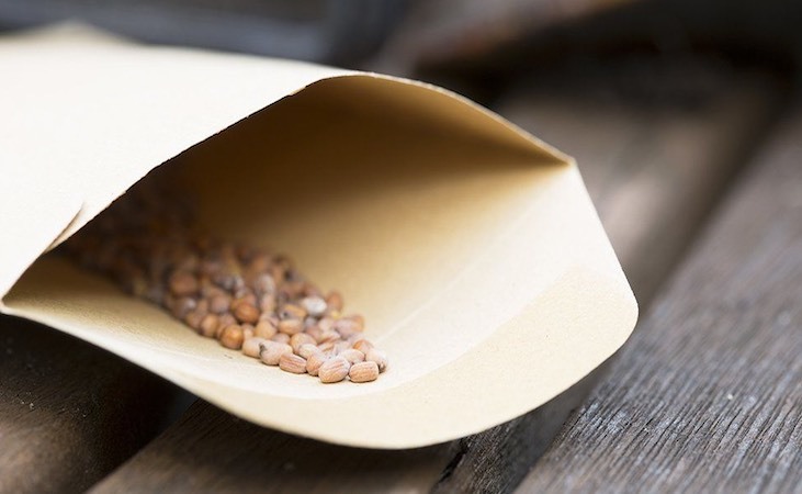 Vegetable seeds in a cardboard pouch