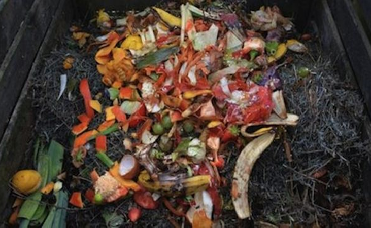 vegetable peelings in the compost bin 