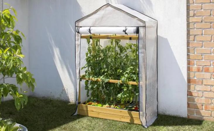Vegtrug pop up tomato growhouse