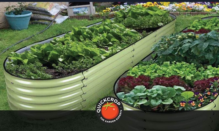 Metal raised beds with crops - header image