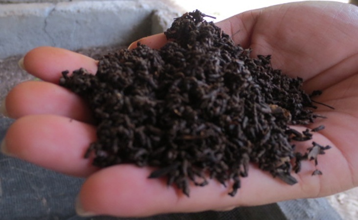 Vermicast or worm castings Vermicast or worm castings