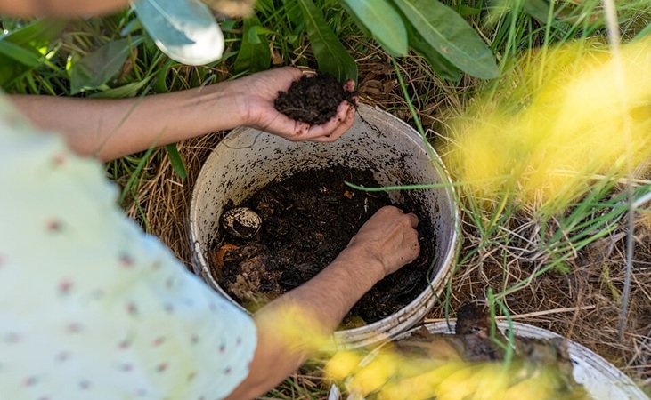 Harvesting worm castings from a vermicompost bucket - photo by Matthew Kowal, wikimedia commons Harvesting worm castings from a vermicompost bucket - photo by Matthew Kowal, wikimedia commons