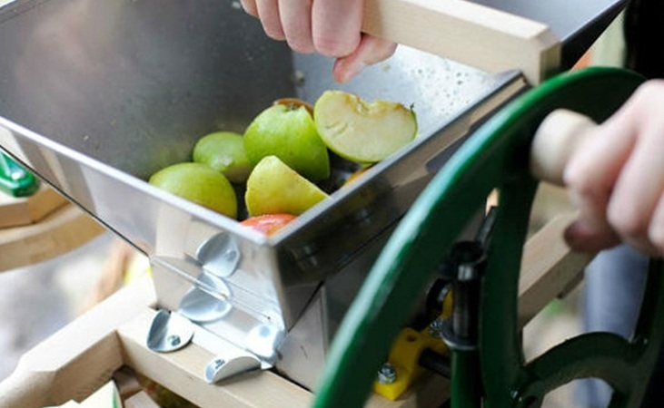 Apple pieces in Vigo crusher