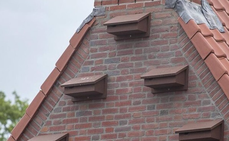 a 'colony' of swift nest boxes on a building gable