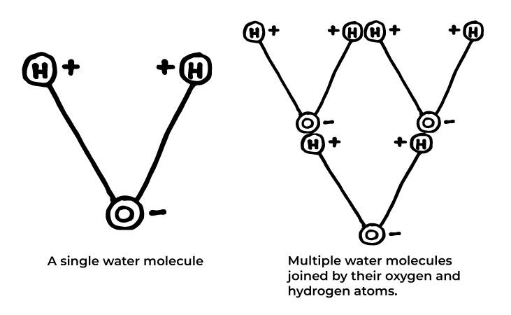 A diagram illustrating water molecules