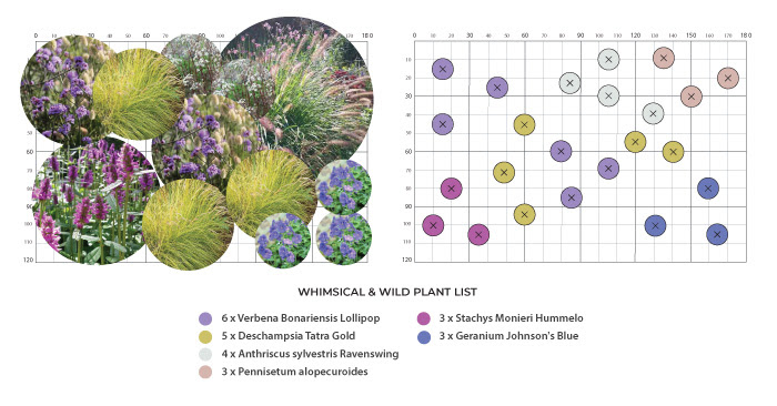 Whimsical and Wild Plant list and planting plan