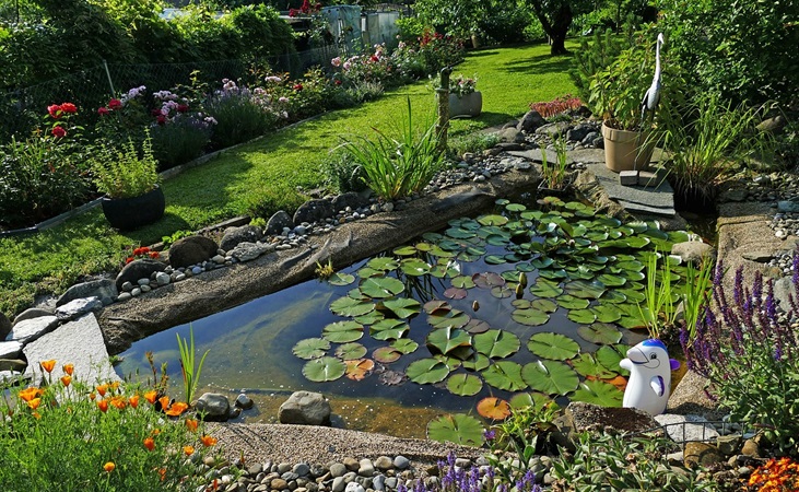 wildlife friendly garden pond wildlife friendly garden pond