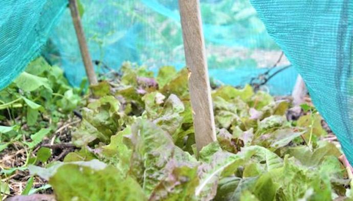 Windbreak mesh as a sun shade