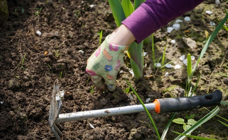 Weeding the garden
