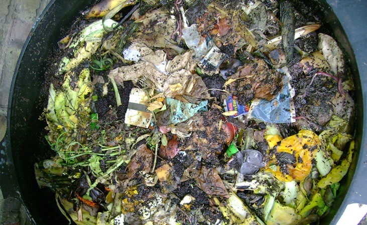 Top level of wormery with food waste - Flickr image by London Permaculture by Top level of wormery with food waste - Flickr image by London Permaculture by