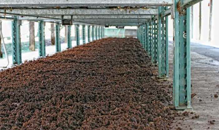 Wormcast compost