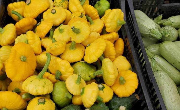 Yellow patty pan squash