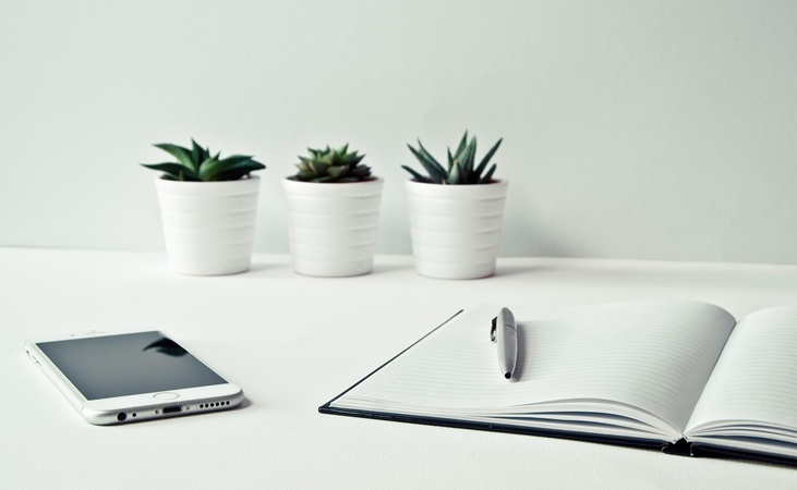 Office plants on a desk